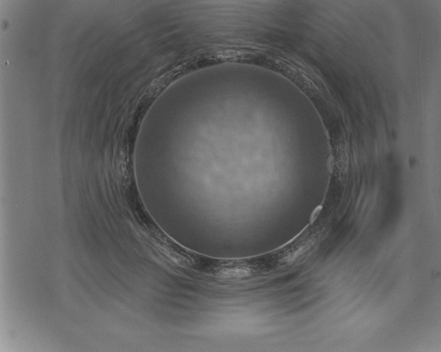 X0000075830653200609221641