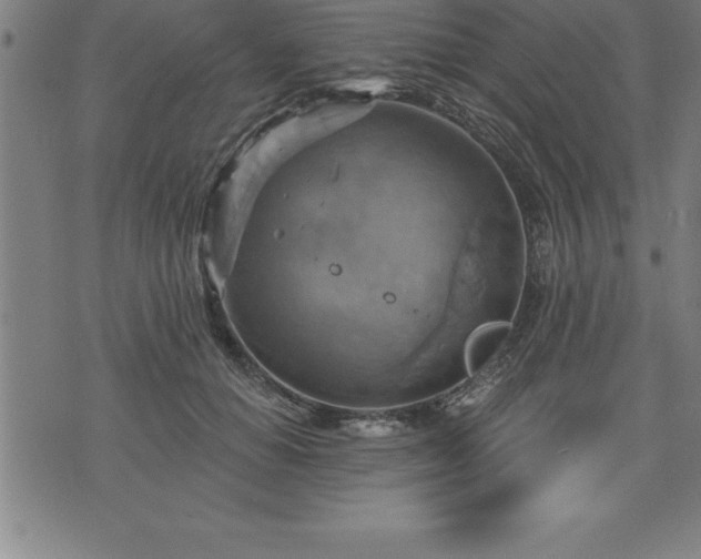 X0000075830654200609221641