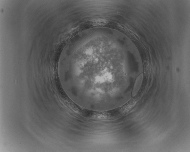 X0000075830655200609221641