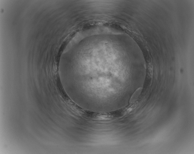 X0000075830657200609221641