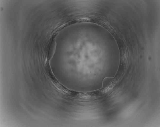 X0000075830658200609221641