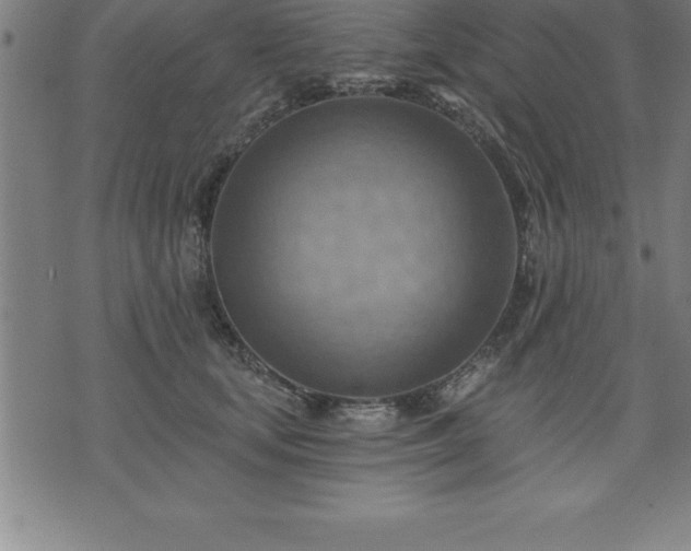 X0000075830659200609221641