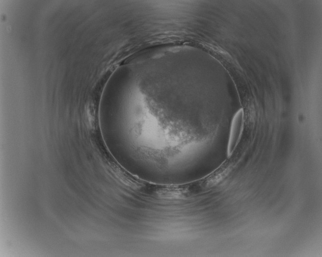 X0000075830661200609221641