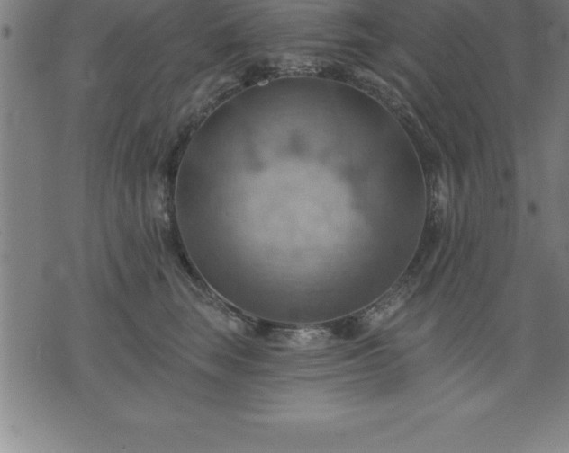 X0000075830663200609221641