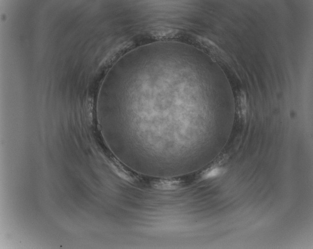 X0000075830664200609221641