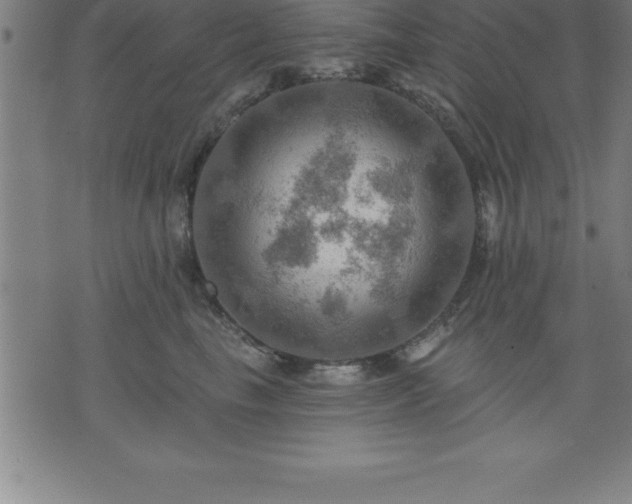 X0000075830665200609221641