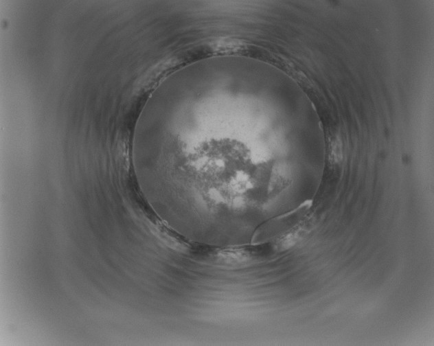 X0000075830666200609221641