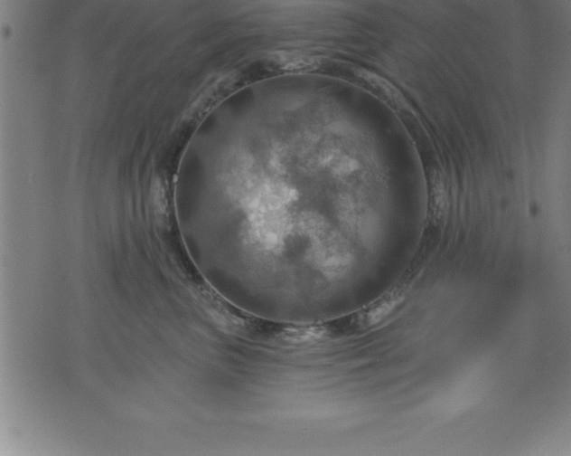 X0000075830667200609221641