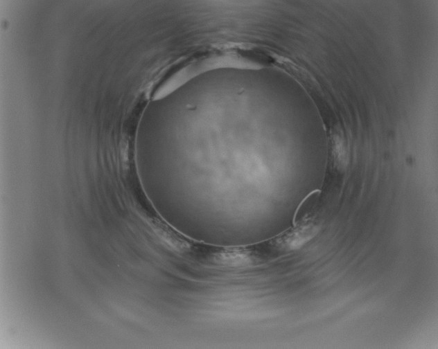 X0000075830668200609221641