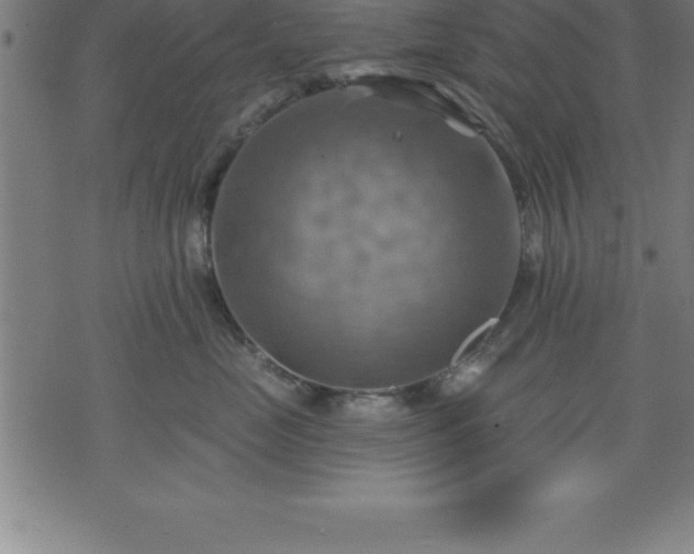 X0000075830669200609221641