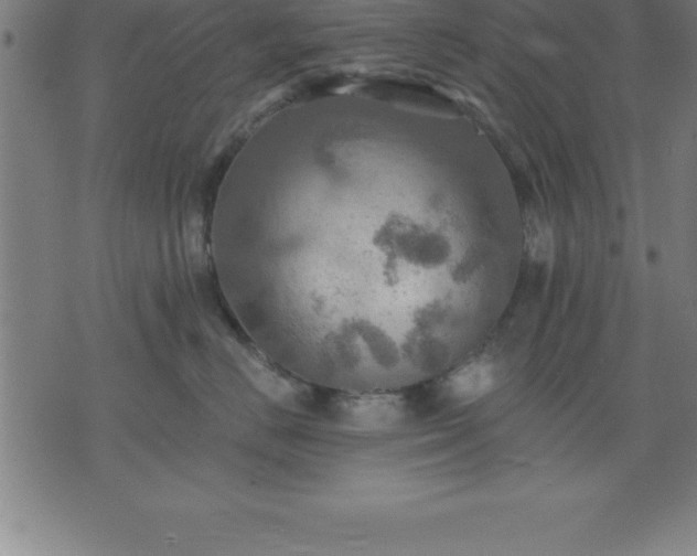 X0000075830670200609221641