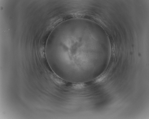 X0000075830671200609221641