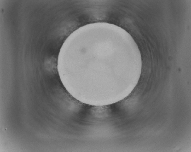 X0000075830672200609221641