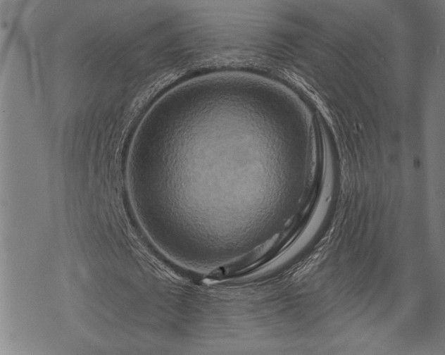 X0000075830673200609221640