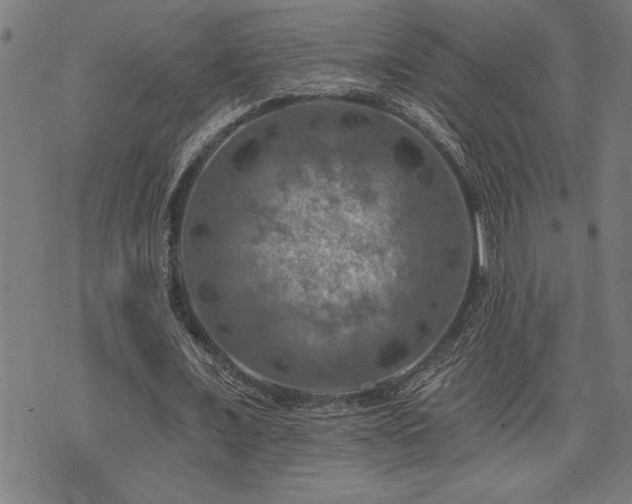 X0000075830675200609221640