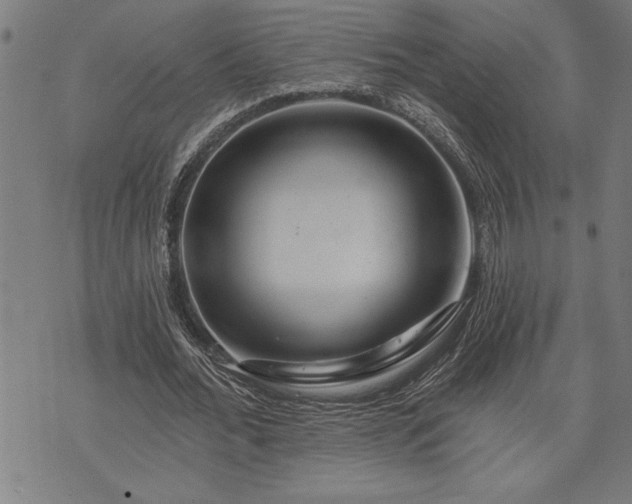 X0000075830676200609221640