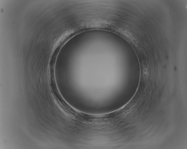 X0000075830678200609221640