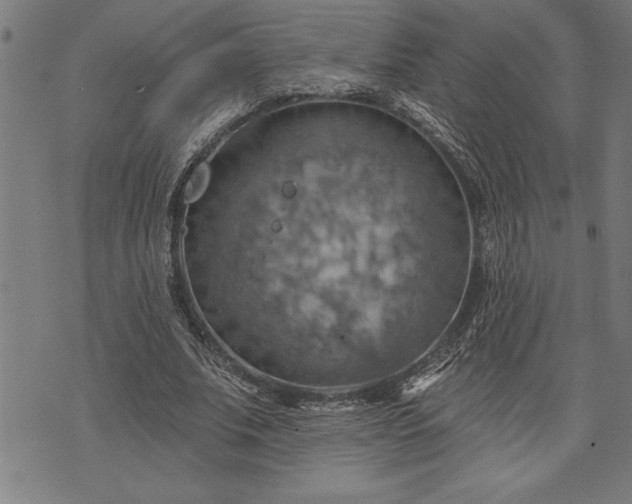 X0000075830679200609221640