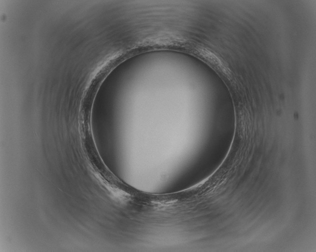 X0000075830680200609221640