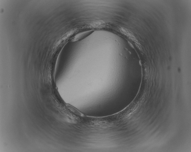 X0000075830681200609221640