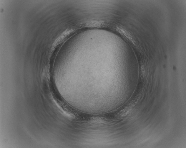 X0000075830682200609221640