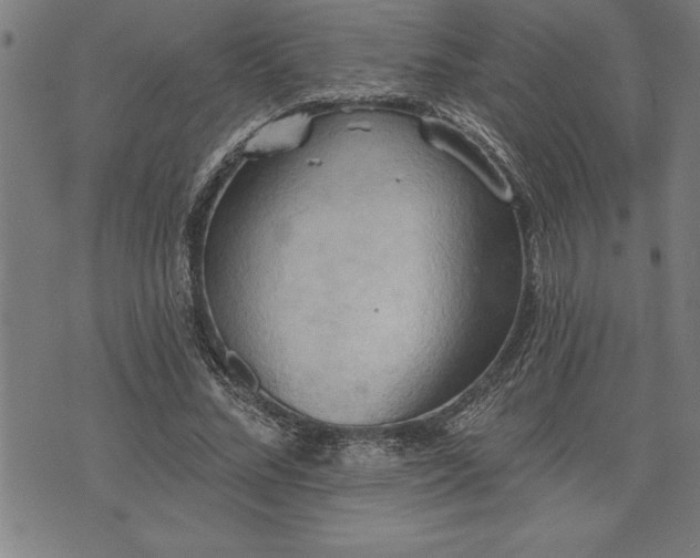 X0000075830684200609221640