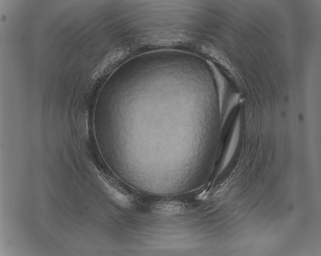 X0000075830685200609221640