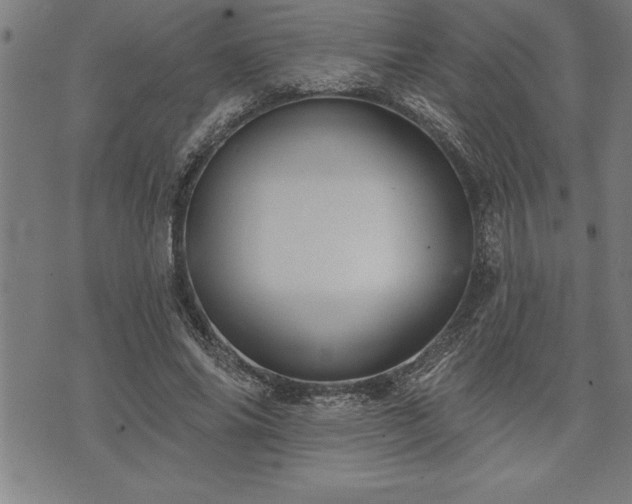 X0000075830686200609221640