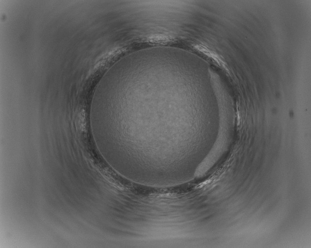 X0000075830689200609221640