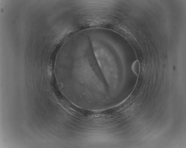 X0000075830691200609221640