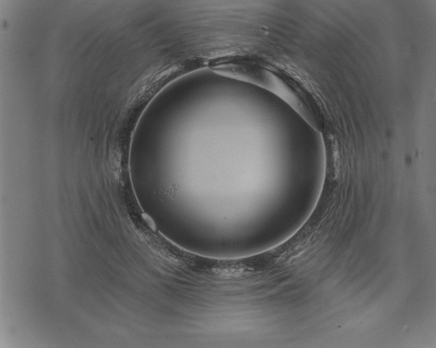 X0000075830693200609221640