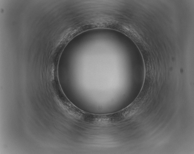 X0000075830694200609221640