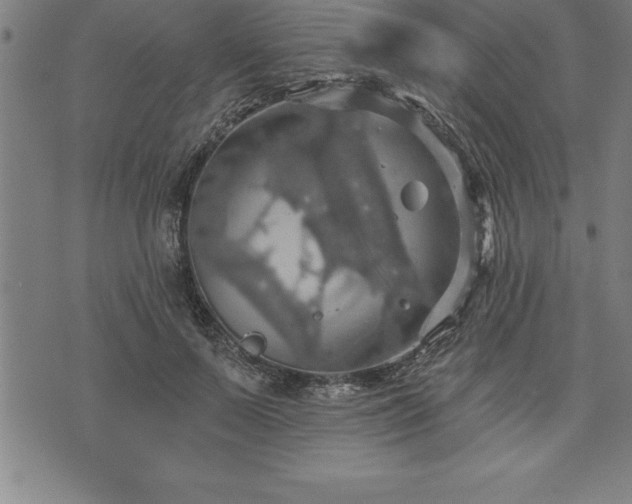 X0000075830695200609221640