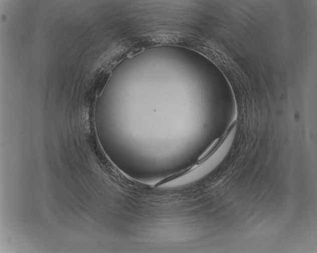 X0000075830696200609221640