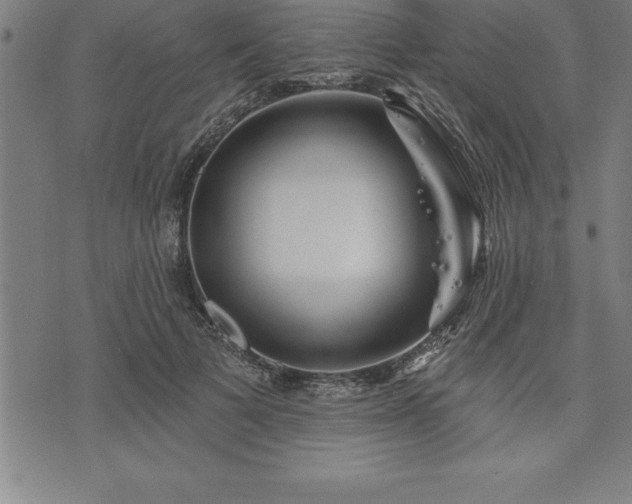 X0000075830697200609221640