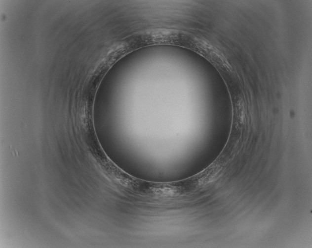 X0000075830698200609221640