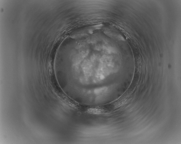 X0000075830699200609221640