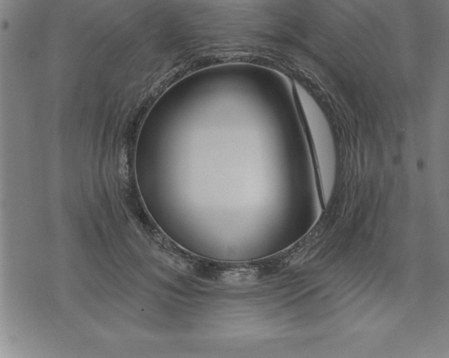 X0000075830700200609221640