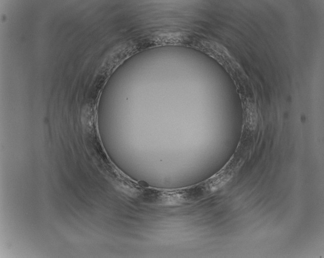 X0000075830701200609221640