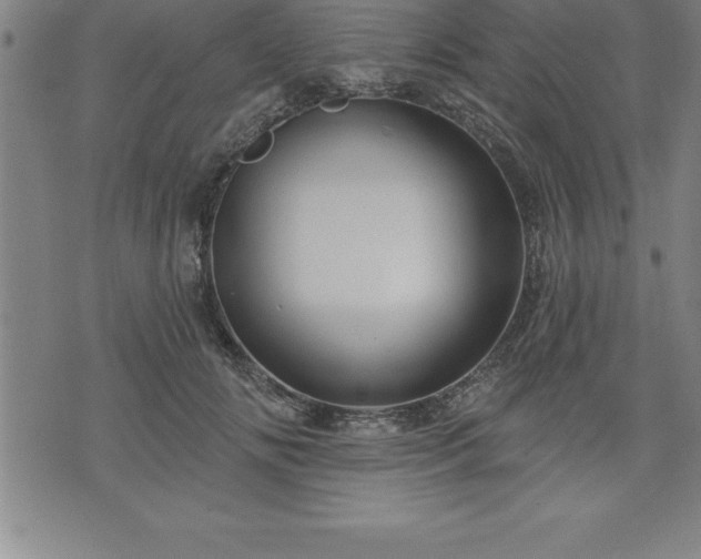 X0000075830702200609221640