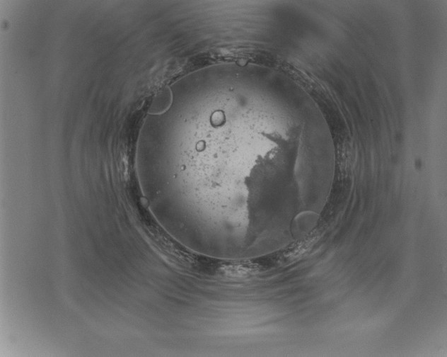 X0000075830703200609221640