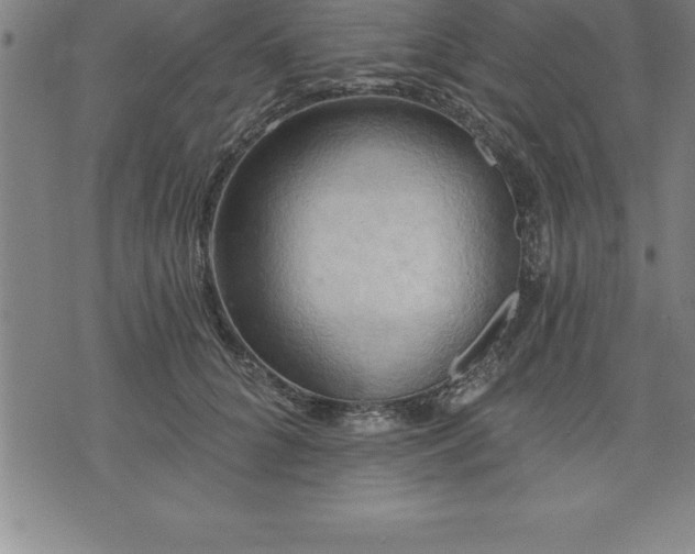 X0000075830704200609221640