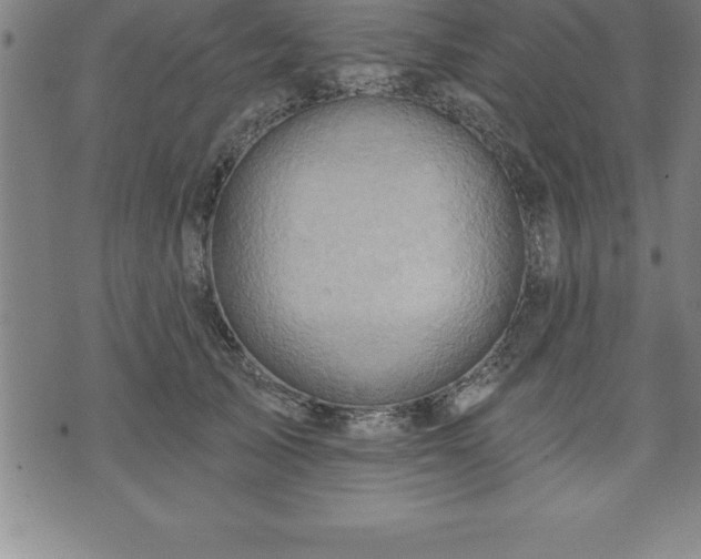 X0000075830705200609221640