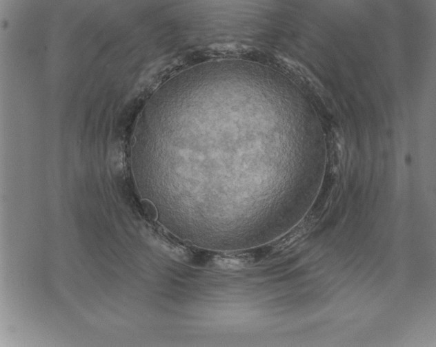 X0000075830706200609221640