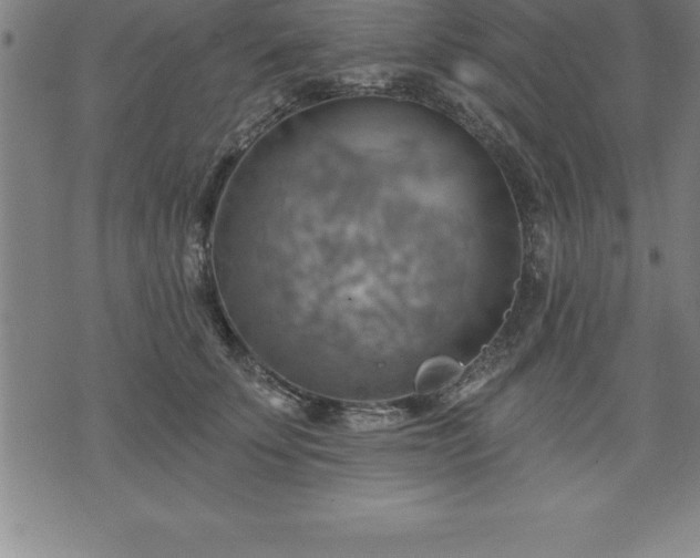 X0000075830707200609221640