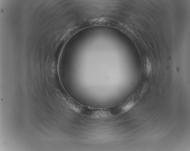 X0000075830708200609221640