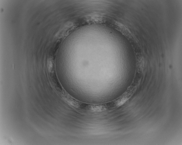 X0000075830709200609221640