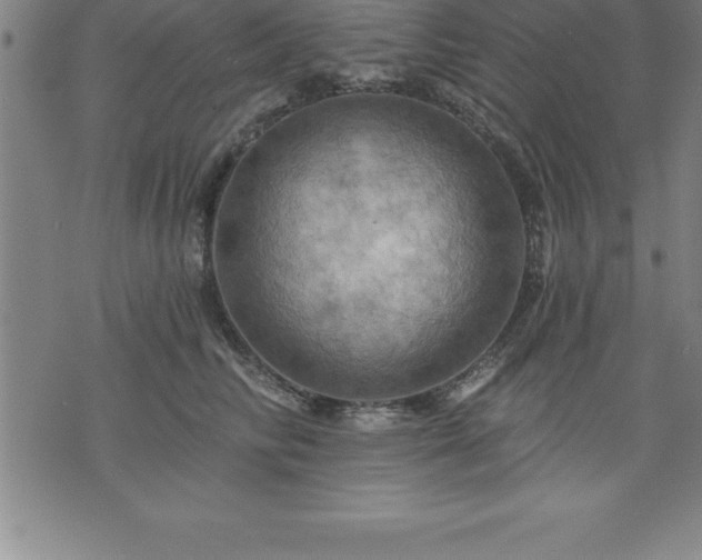 X0000075830710200609221640