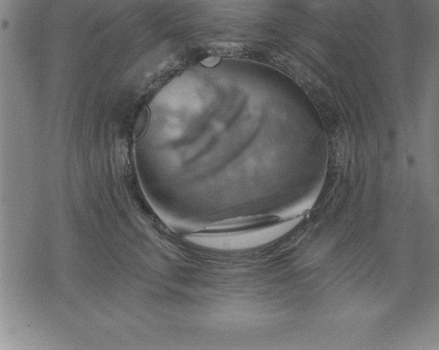 X0000075830711200609221640