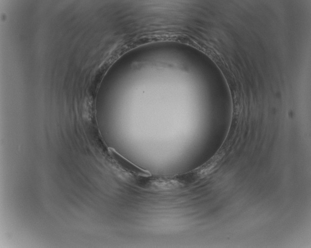 X0000075830712200609221640